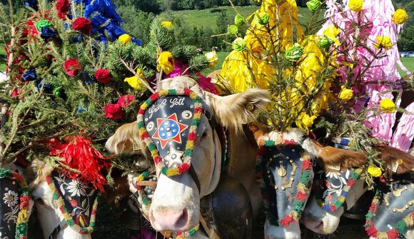 Almabtrieb bei Neustift