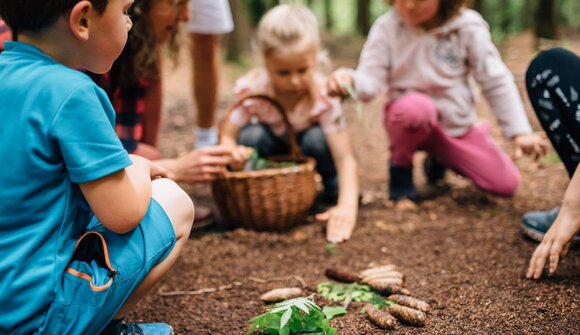 KIDS on a journey of discovery in the forest