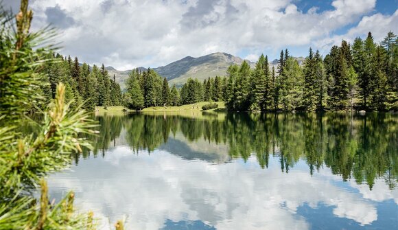 Escursione Laghi Gelati