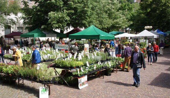 Fiera del giardino