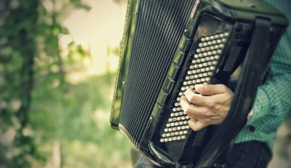 Leonardo and his accordion