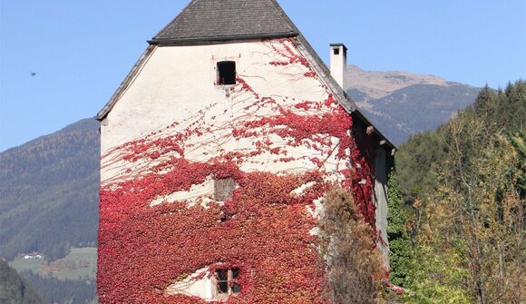 Besichtigung Turm Kränzelstein