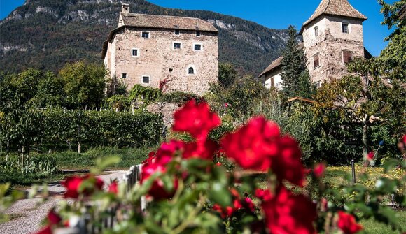 Eppan Berg (Eppan)