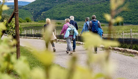 Autumn Experience: Genusswanderung