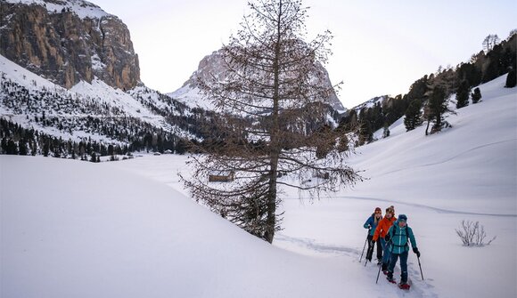 Schneeschuhwanderung - Plans de Frea