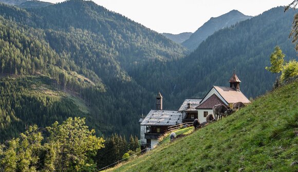 Bergexerzitien im Frühling