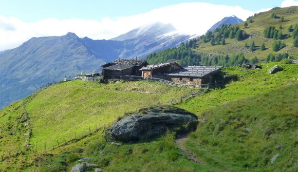 Shuttle zum Meraner Höhenweg