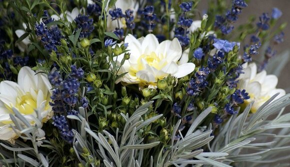 Making herb bouquets