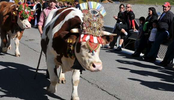 Transumanza e festa d'autunno