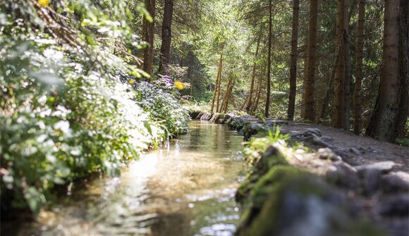 From springs to alpine pastures