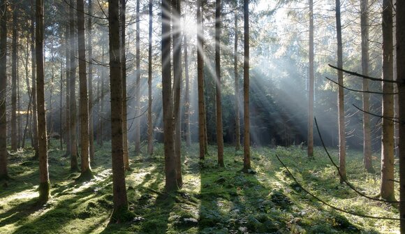 Guided Hike: Annaweg path