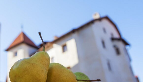 Pala pear days: matinèe