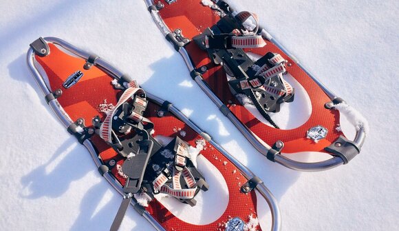 Snowshoe hike to the Stegeralm