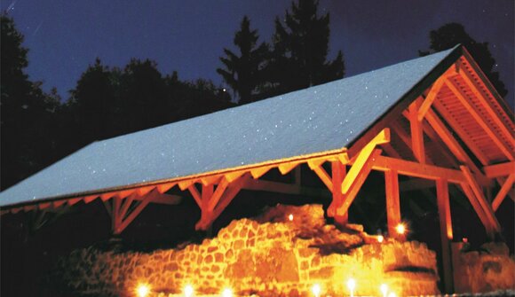 The magic of Christmas "Valteswald"