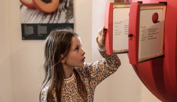 Kindersommer: Kleine Apfel-Abenteuer