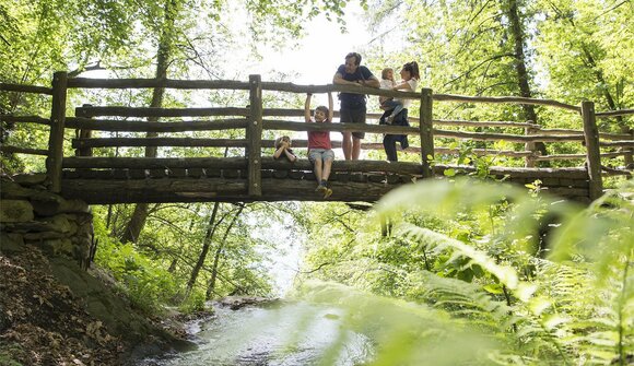 Wanderung: Kaltern - Altenburg - Tramin