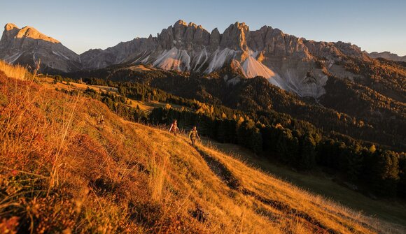 Autumn on the Plose Mountain