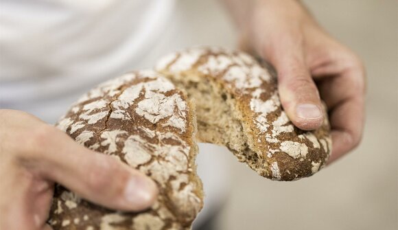 Fare il pane al maso Tholerhof