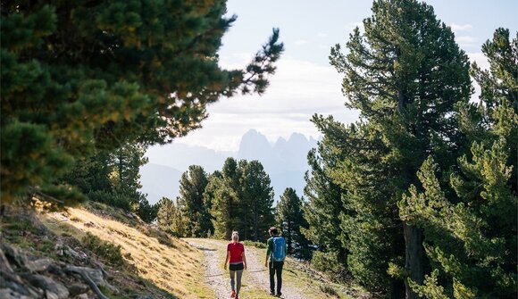 Guided panoramic mountain-hike