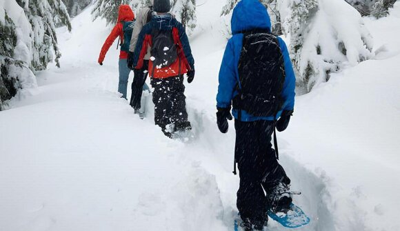 Adventure-snowshoeing