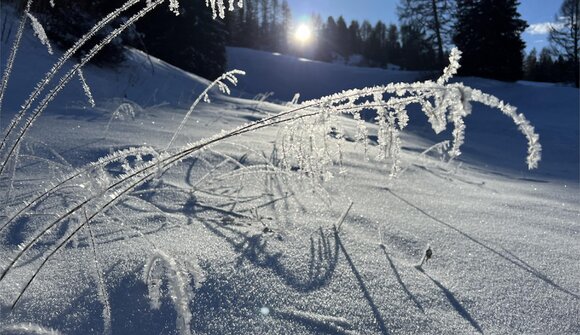 Winterwanderung - Spuren im Schnee