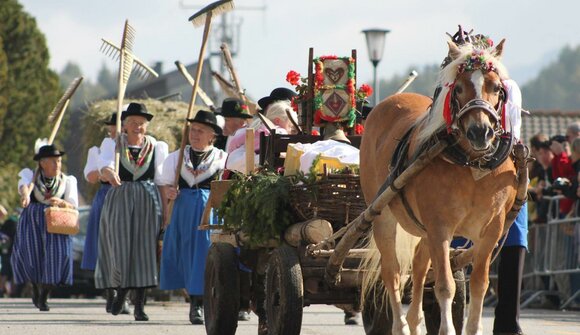 Almabtrieb auf der Seiser Alm