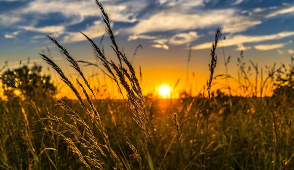 Escursione al sorgere del sole