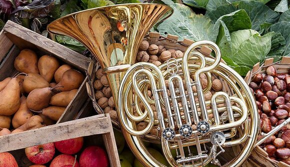 Harvest Festival in Bolzano