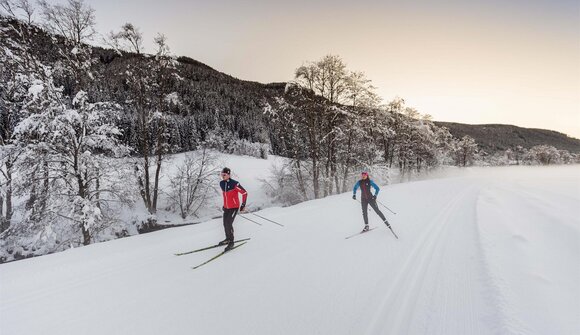 Skating Cross-Country skiing