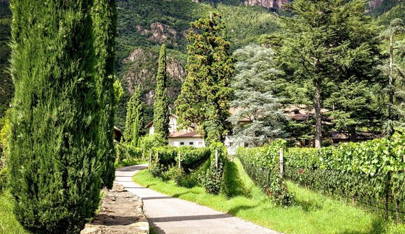 Führung über den Terlaner Weinweg