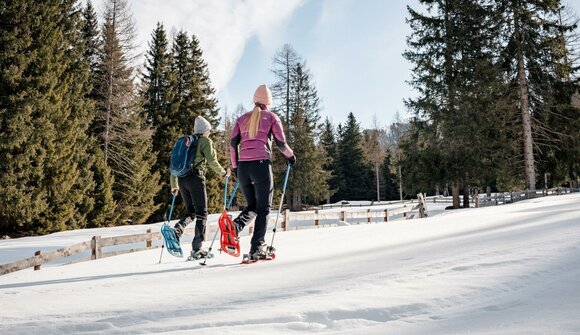 Escursione con le racchette da neve