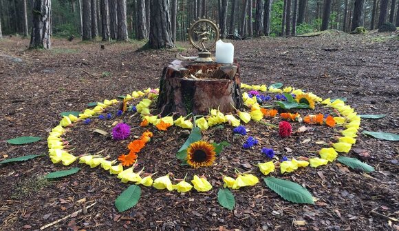 Prana Vinyasa Yoga in the forest