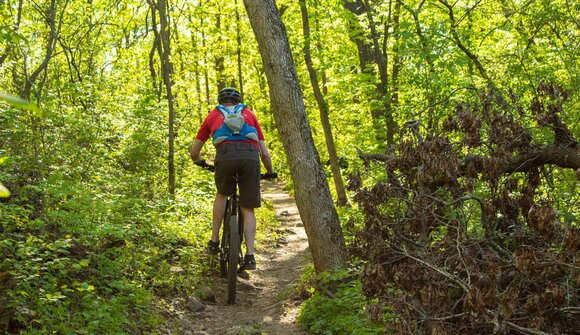 MTB technique training with trail