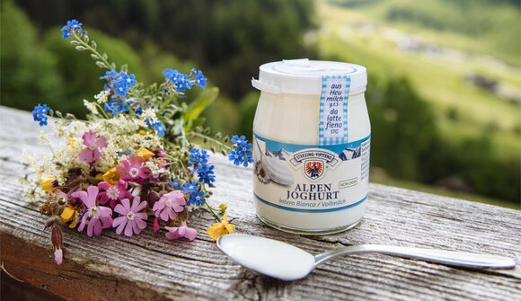 Joghurt-Schatzsuche mit Wanderung