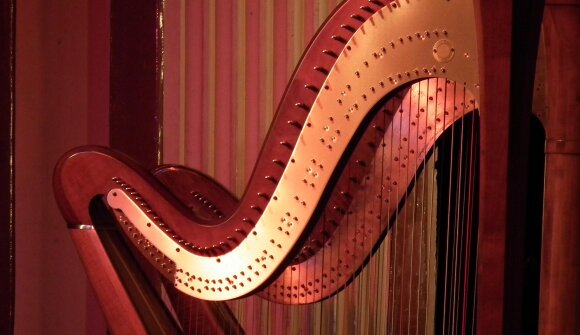 Harp Evening