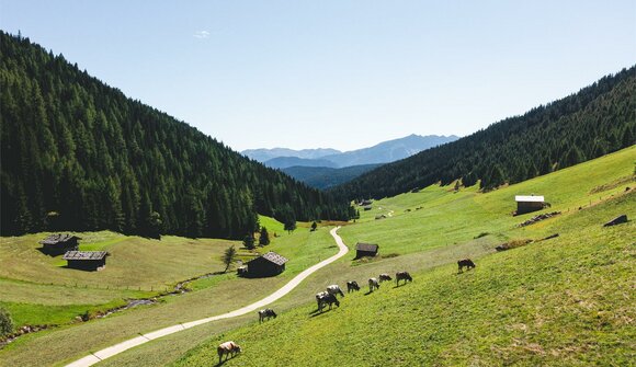 Alm Festival in Valley Altfasstal