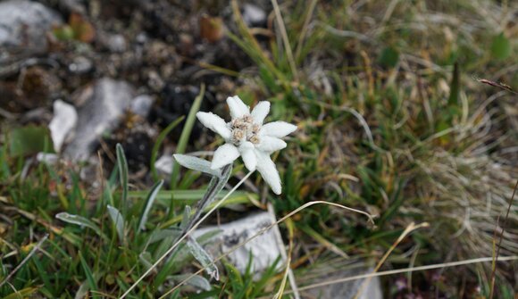 Escursioni guidate nel Parco Naturale