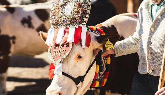 Transumanza e festa d'autunno