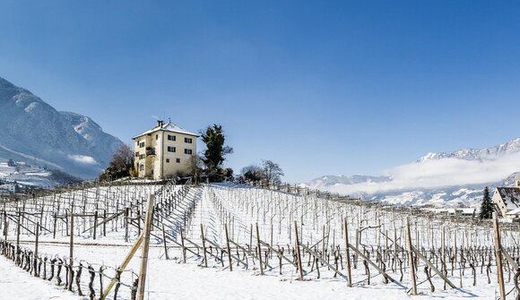 Winter WineSafari