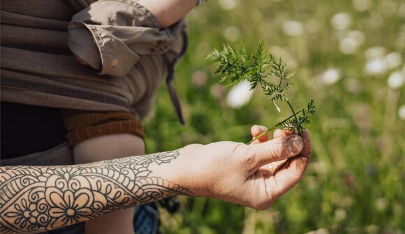 Herb hike - Monte Tramontana