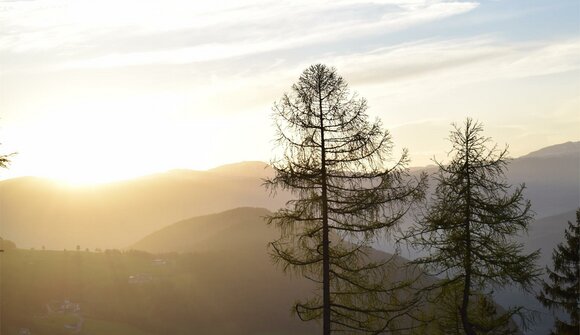 Escursione al Monte Bullaccia