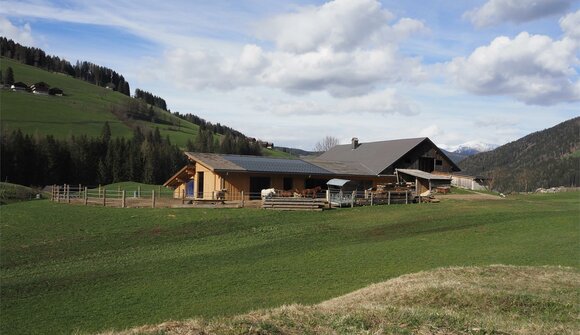 Komm zum Reiten auf den Bodnerhof!