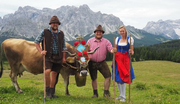 Driving down of cattle in Sesto