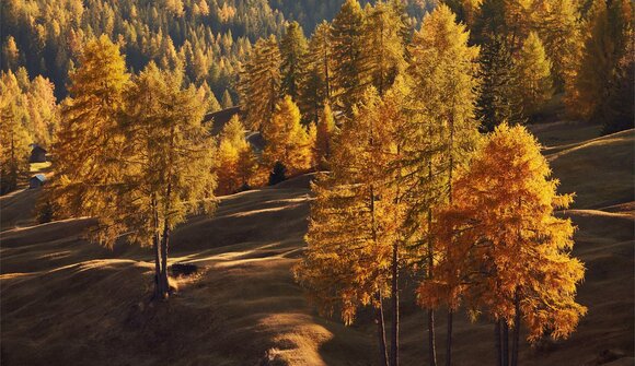 Herbstwanderung am Salten