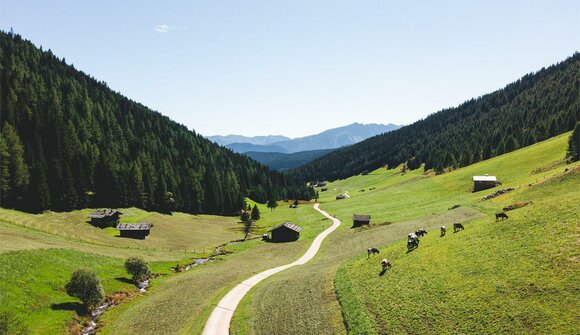 Tour guidato in e-bike: Gitschberg