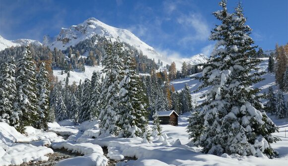 Guided snowshoe hike