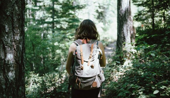 Hiking in the landscape of Tesino