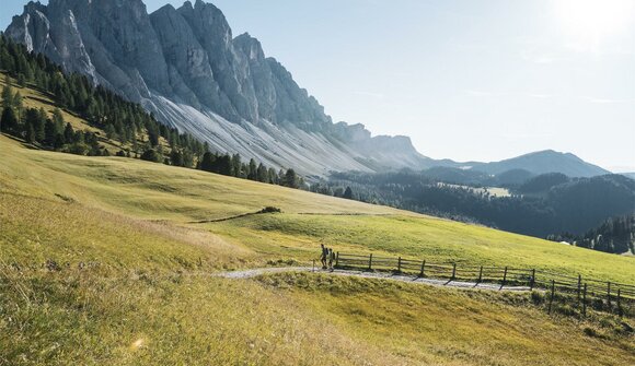 Geführte Wanderung: Zendleser Kofel