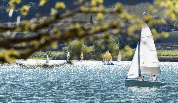 Südtirol Finn Cup Dr. Schär Trophäe