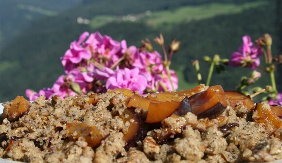 Plum Weeks in Barbian